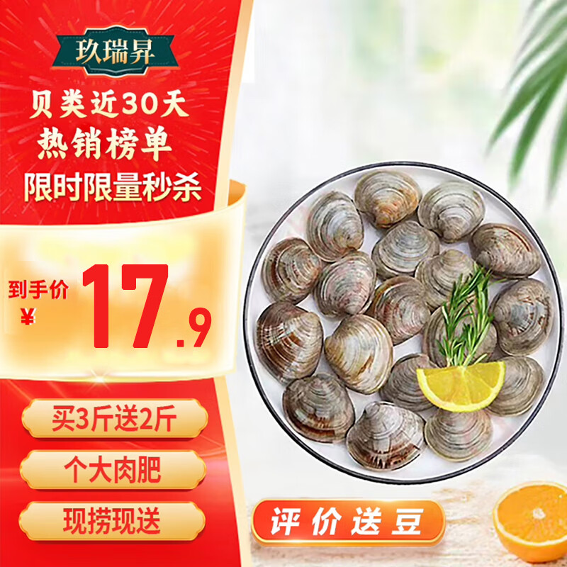 玖瑞昇 鲜活大美贝 5斤 每斤15-20粒 ￥17