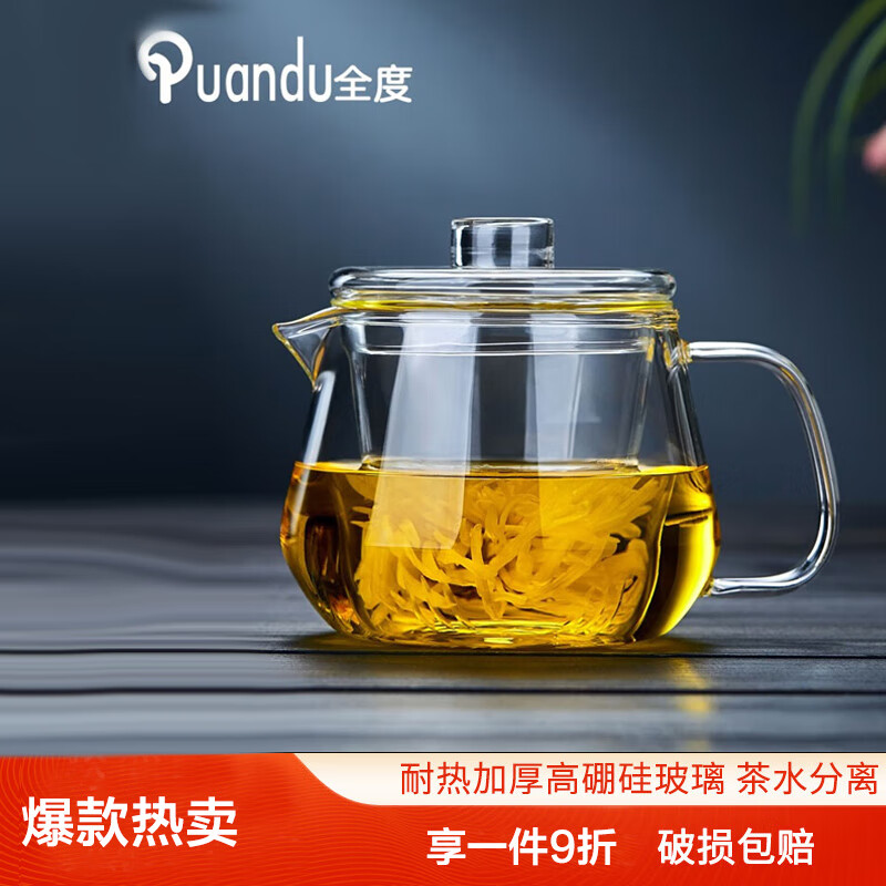 全度 玻璃茶壶煮茶壶泡茶壶煮茶壶可明火加热玻璃茶壶 吟闲壶500ML 21.1元（