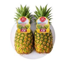 PLUS会员、京东百亿补贴：Goodfarmer 佳农 菠萝 单重900g+ 2个*2件 55.86元包邮，