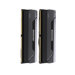 BIWIN 佰维 马甲条 32G（16G×2）套装 DDR5 6400频率 台式机内存条 悟空 HX100（C30