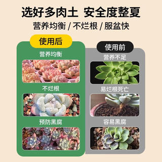 京喜 船长多肉营养土专用颗粒土种植养花盆栽通用彩石泥炭花土壤铺面石 成株土50%颗粒土 0.39元 - 86线报 京喜 船长多肉营养土专用颗粒土种植养花盆栽通用彩石泥炭花土壤铺面石 成株土50%颗粒土 0.39元 - 86线报