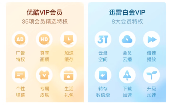 YOUKU 优酷 VIP会员年卡+迅雷白金会员年卡