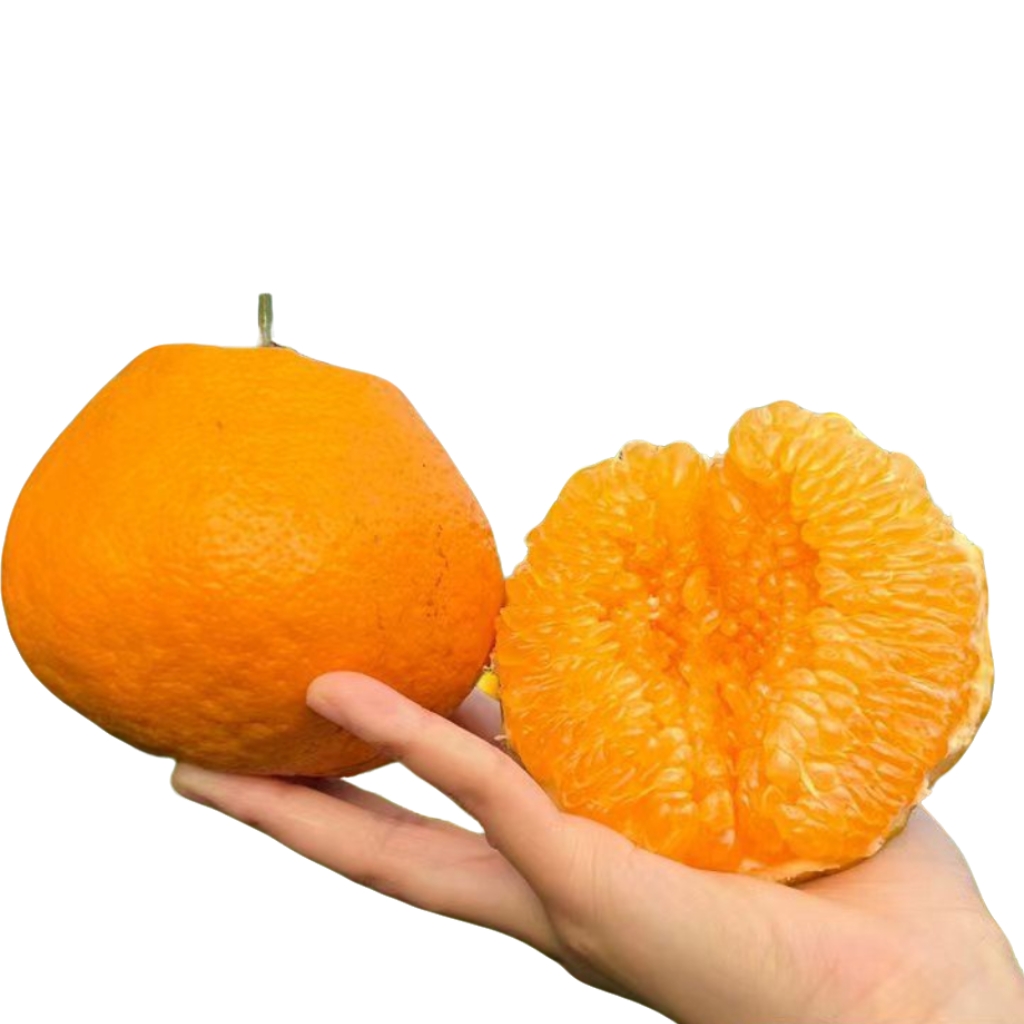 特大果 四川春见耙耙柑 4.8斤装 单果80mm+ 17.9元（需买2件，需用券）