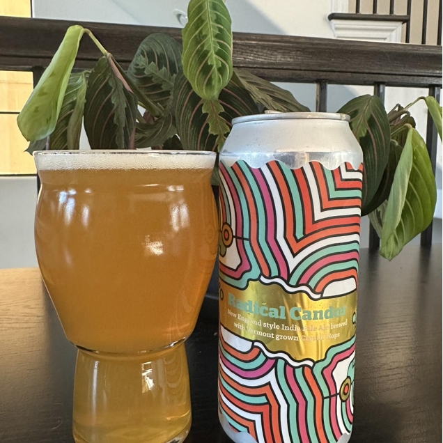 BURLINGTON 伯灵顿 坦诚相待 浑浊IPA 473ml 单罐 19.1元包邮（拍下立减）