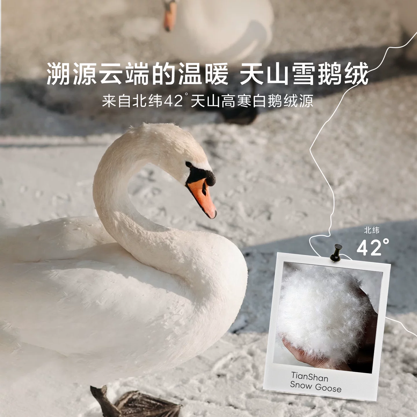 罗莱生活 罗莱家纺95白鹅绒被加厚保暖冬被羽绒被春秋被子100支全棉可水洗 1044.65元 - 清风线报