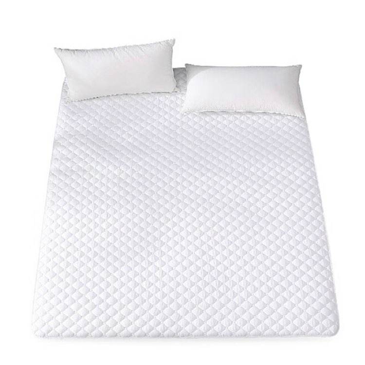 Plus：百丽丝 水星家纺出品 床护垫 抗菌床垫薄款褥子 学生宿舍软垫0.9床 28.52元