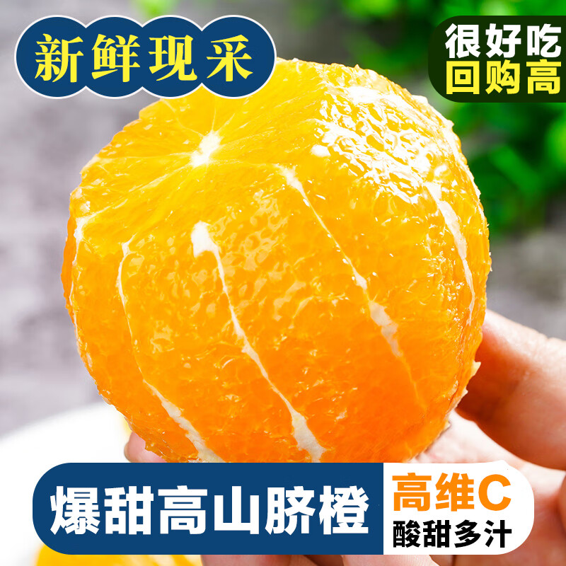 庾丰 赣州脐橙 9斤净重 特级橙 单果200-300g 25.74元（需用券）