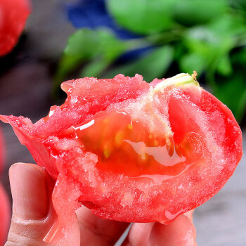京东生鲜 普罗旺斯西红柿 番茄 沙瓤生吃自然成熟 中果 2.5kg 约20个左右 ￥24