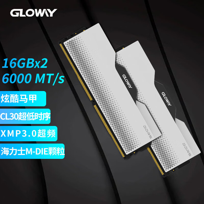 PLUS会员：GLOWAY 光威 龙武系列 DDR5 台式机内存条 6000MHz 32GB（16GB*2）CL30 套条 