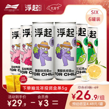 FOR CHILL 浮起 百威起泡酒鸡尾酒果酒气泡酒330ml*6罐（3种口味）年货新春畅饮