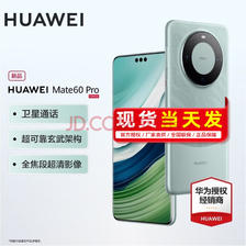 HUAWEI 华为 Mate 60 Pro 手机 12GB+512GB 雅川青 ￥7799