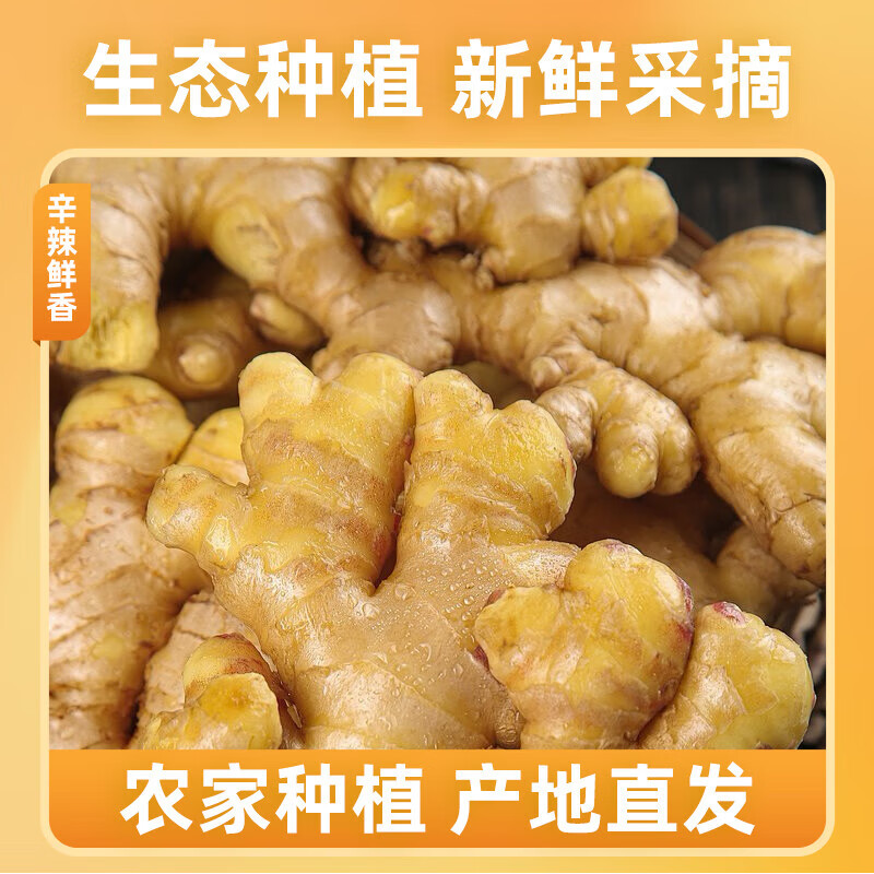 京喜加 高山小黄姜 100g 1.5元