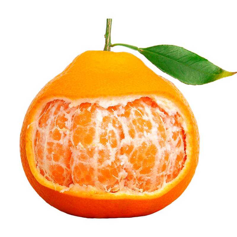 生活＆好管家 四川春见耙耙柑 新鲜水果 8.5-9斤 特大果【90mm+】净重8斤 27.9