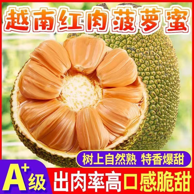 越南新鲜印尼红肉菠萝蜜一整个净重8-10斤装（顺丰冷链） 68元（需用券）