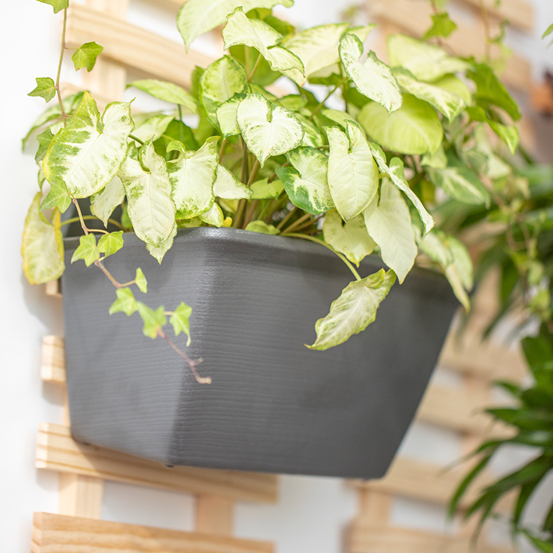 IRIS 爱丽思 长方形塑料吊挂花盆吊兰壁挂式室外阳台园艺种植花盆 15.25元（
