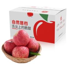 京东特价app：自然搭档 陕西洛川苹果红富士水果礼盒 6枚特小果（单果150-170