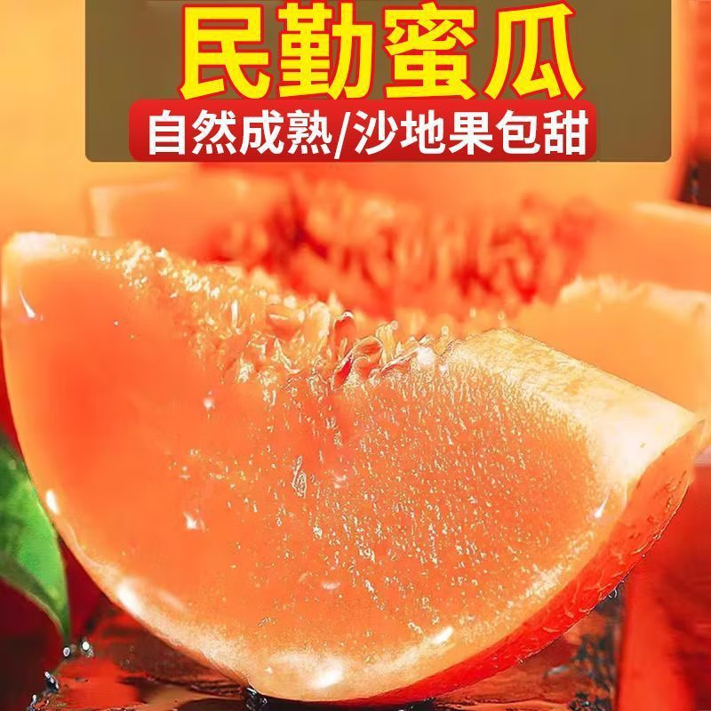 陇百味 甘肃民勤蜜瓜 净重4.5斤【1-2个装】 9.9元（需领券）