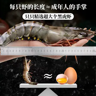 首鲜道 黑虎虾 94.05元 - 86线报 首鲜道 黑虎虾 94.05元 - 86线报