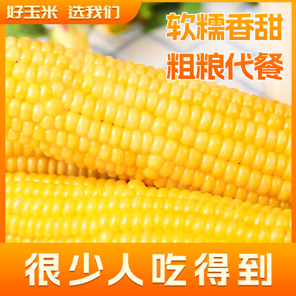 今日必买：芸芸致实 2025新鲜东北黄糯玉米 290g起*5根 11.9元（需用券）