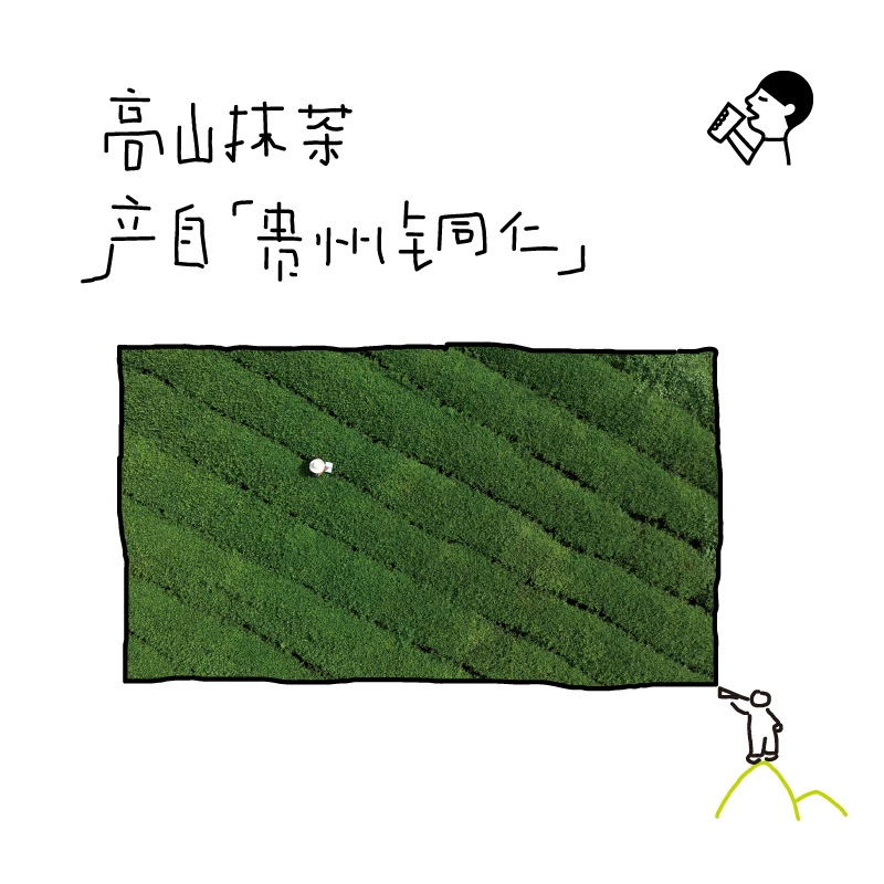 喜茶 无糖清抹玉露清抹茉莉清抹原味茶饮料混合口味500ml*12瓶 50.8元 - 清风线报