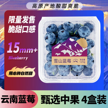 Mr.Seafood 京鲜生 云南蓝莓 4盒礼盒装 约125g/盒 ￥39.9