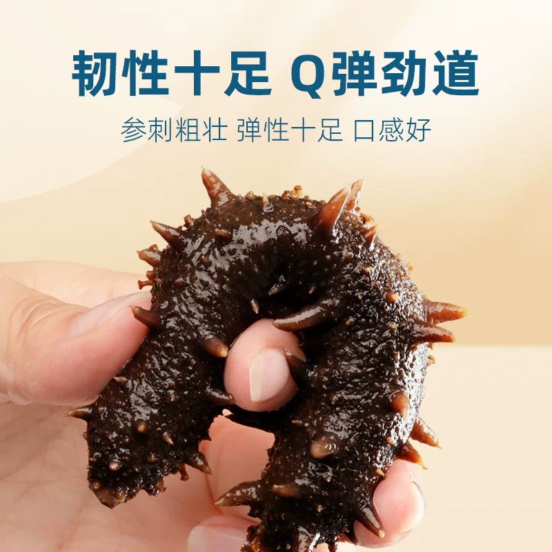 长辽海参 即食辽刺参 141.55元 - 线报酷