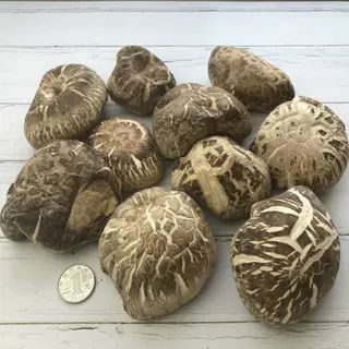 丑菇冬菇香菇花菇干货500g 30.5元 - 线报酷 丑菇冬菇香菇花菇干货500g 30.5元 - 线报酷