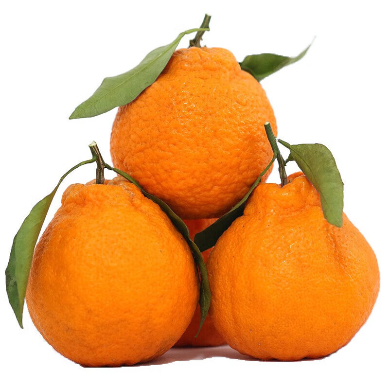 少羽 不知火丑橘 9斤约18个 46元（需用券）