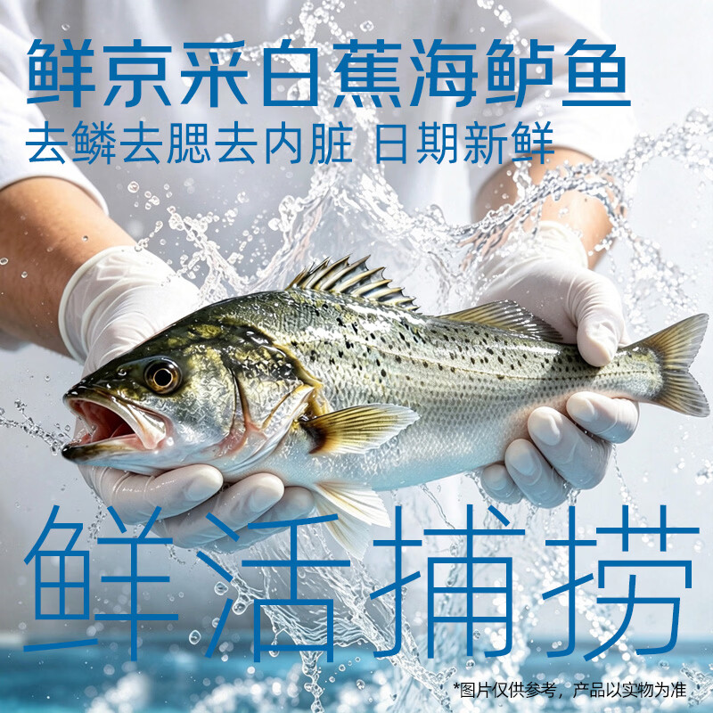 鲜京采 三去白蕉海鲈鱼3斤/3条 珠海地标 京东自有品牌 鱼类 源头直发 47.91元 - 线报酷
