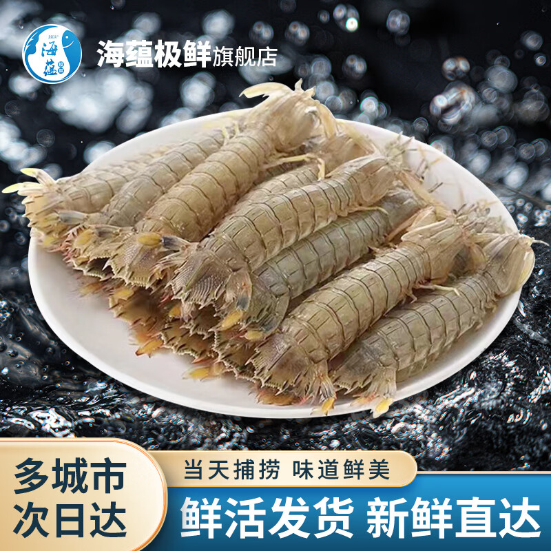 海蕴极鲜 鲜活皮皮虾 1000g (24-30只) 156元（需用券）