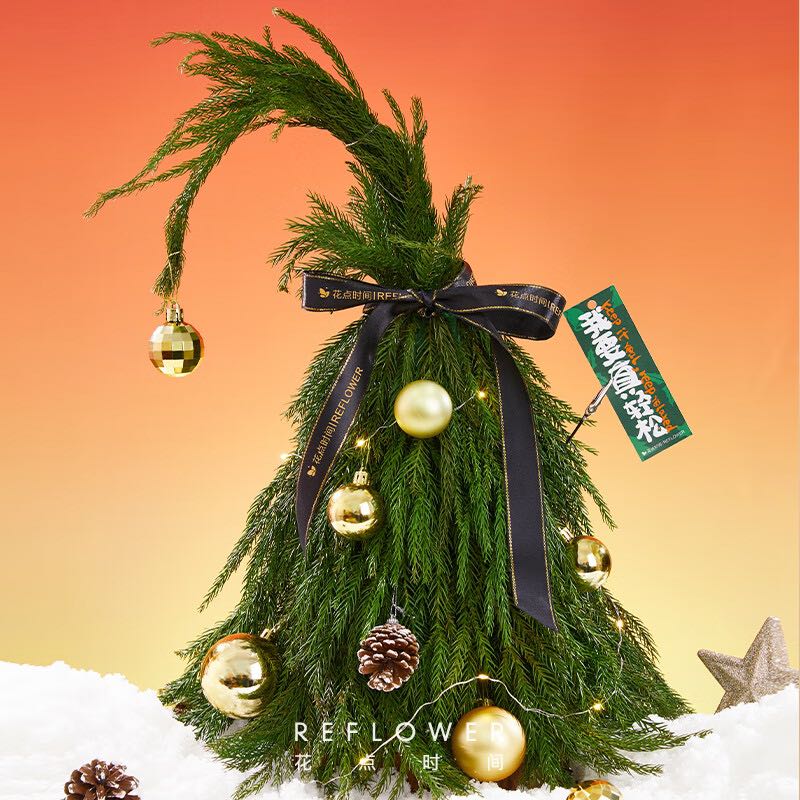 花点时间 诺贝松圣诞树鲜切枝绿植盆栽室内圣诞节礼物装饰品 99元（需用券