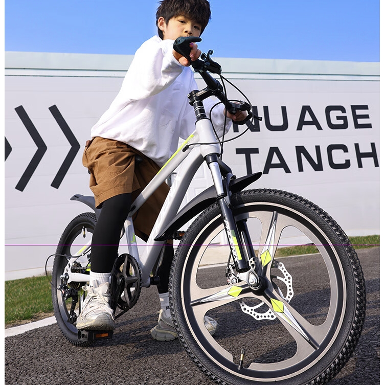 PLUS会员：PHOENIX 凤凰 儿童自行车 22寸 478元包邮（双重优惠）