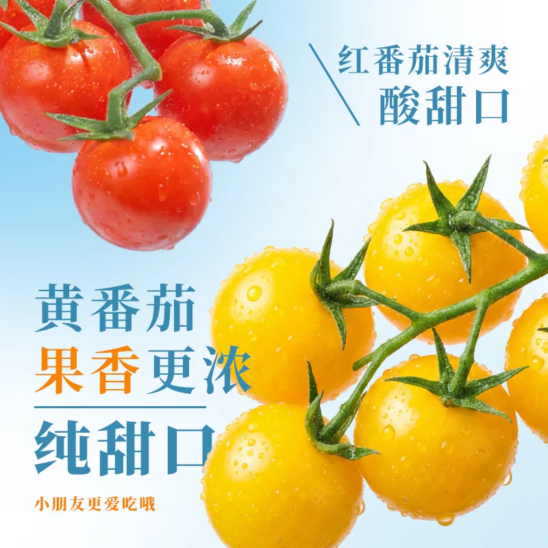 柿一家 樱桃番茄新鲜水果千禧圣女果小西红柿绿色健康800gPET 18.6元 - 清风线报