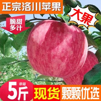 洛川苹果陕西延安红富士 5斤80-85mm优级大果 净重4.5斤 ￥46.9