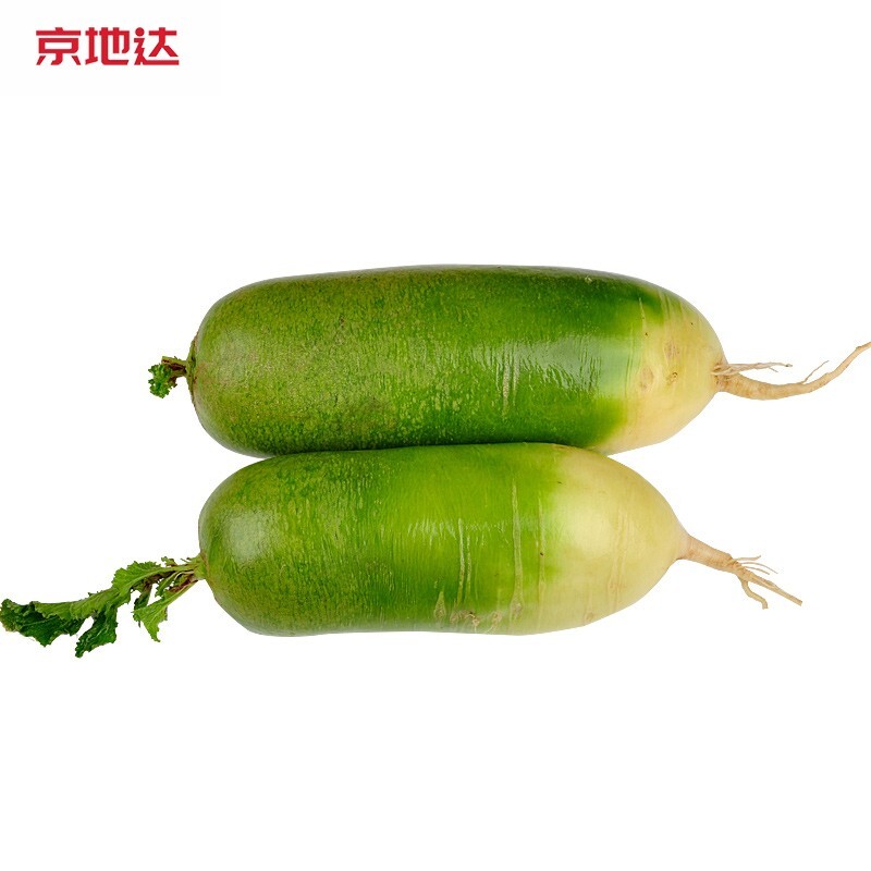 绿翡翠萝卜品种介绍图片