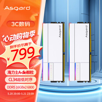 Asgard 阿斯加特 女武神·瓦尔基里Ⅱ代 6800MHz RGB 灯条 白色 32GB 16GBx2 C34 海力