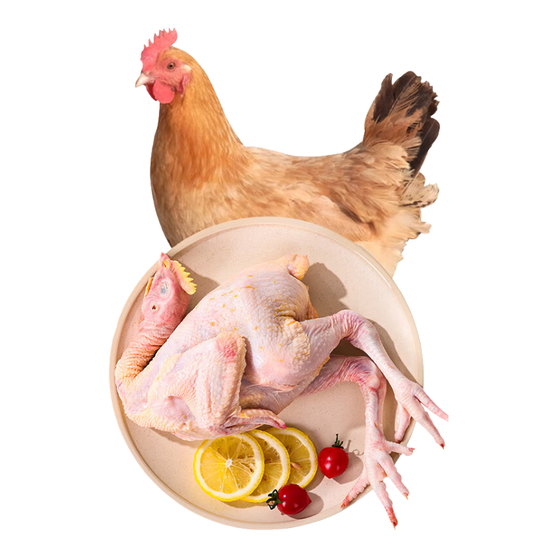 新旺美刻 三黄鸡1kg*2只 冷冻新鲜鸡肉散养鸡走地鸡煲汤食材 源头直发 49.9元