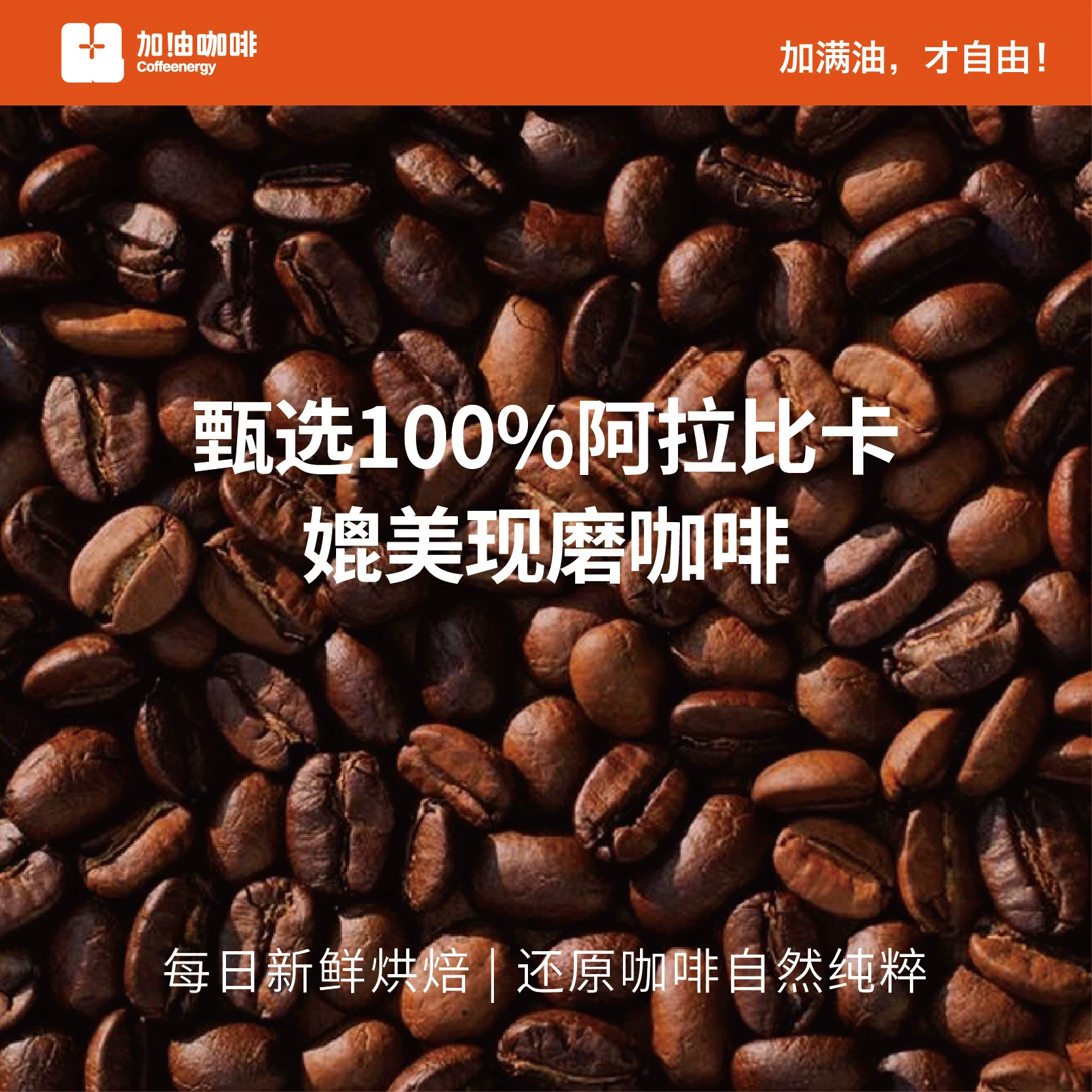 加！由咖啡 Coffeenergy加由玛咖速溶咖啡粉云南阿拉比卡冷热速溶现磨口感 19.9元 - 线报酷