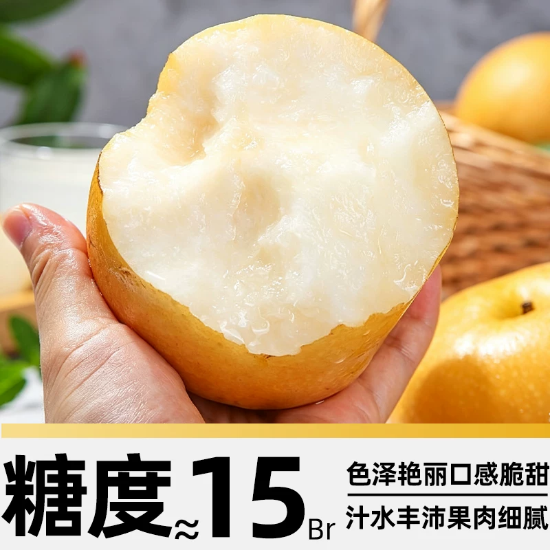 京运达 正宗山东秋月梨子现摘应当季新鲜水果中秋礼盒整箱非莱阳 18.9元 - 线报酷