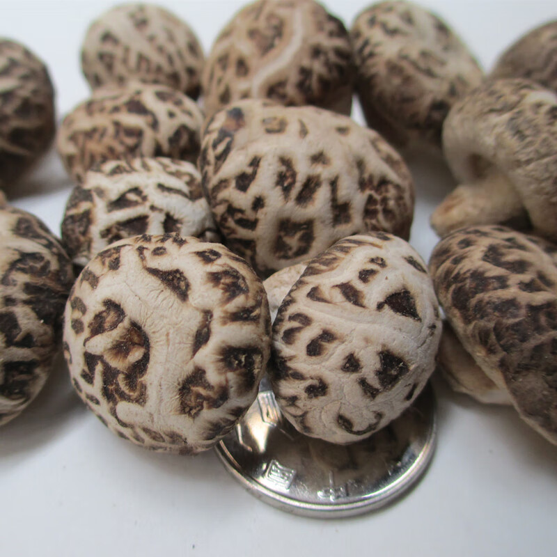 花菇哥 特产 小冬菇花菇500g-直径2~3cm香菇 35.93元（需用券）