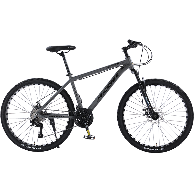 PHOENIX 凤凰 山地自行车 顶配-全套轴承-辐条轮26寸【钢架版】 24速【休闲版