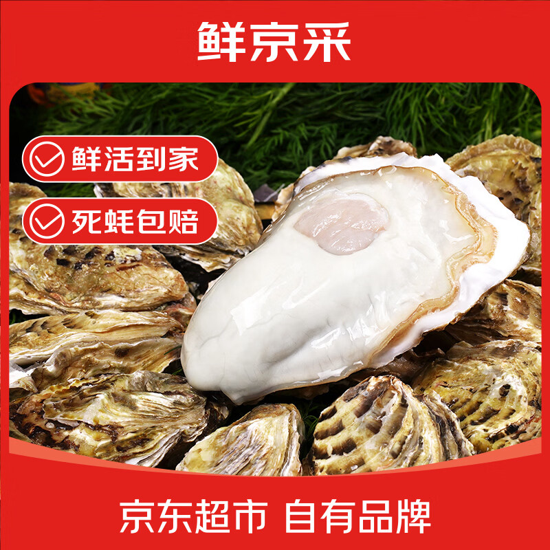 鲜京采 生蚝 5XL 9-12只 净重5斤 52.9元 - 清风线报