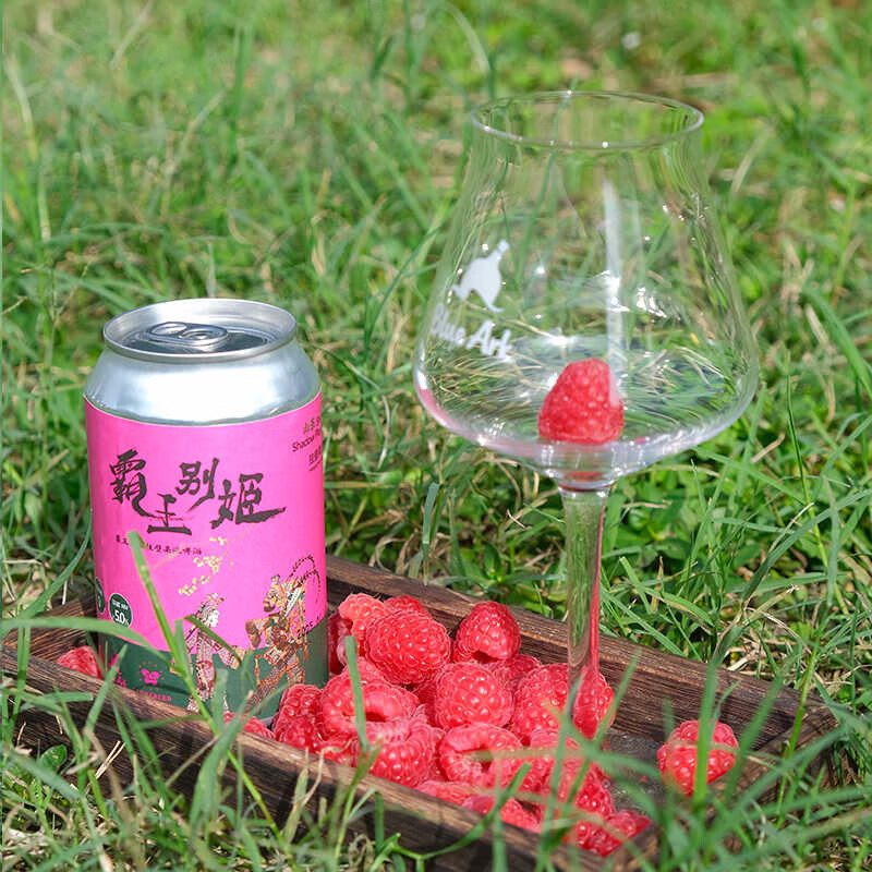 BLUE ARK 亚刻部落 精酿啤酒 330mL*6罐 124元