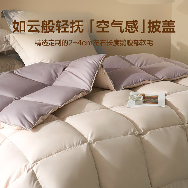 PLUS:BLISS 百丽丝 抗菌鹅毛冬厚被 220cm×240cm 361.12元（需领券）