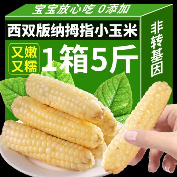 黄花地 西双版纳 拇指玉米 净重5斤 ￥52.1