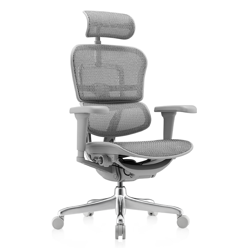 PLUS会员：Ergonor 保友办公家具 金豪b雄鹰 人体工学椅 电脑椅 银白网 1824.1包