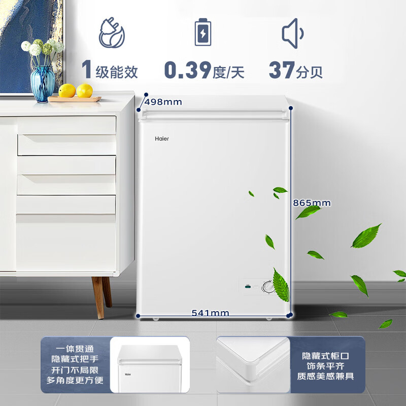 Haier 海尔 100升低霜小冰柜家用商用 冷藏柜冷冻柜两用冰柜小型租房用小冰