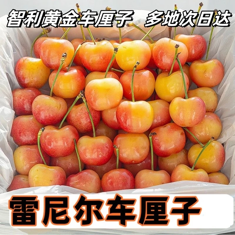 果益寿 智利雷尼尔黄金车厘子 500g J级大果 189.9元