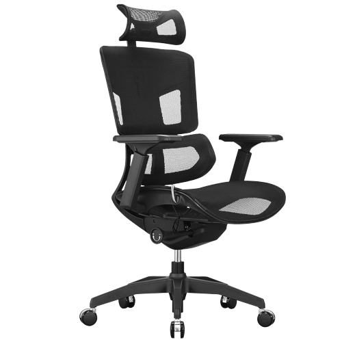 ERGOUP 有谱 fly mini 人体工学电脑椅 黑色 升级版 979.57元（需用券）