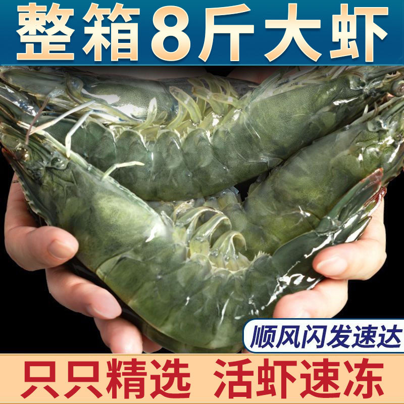百亿补贴：XYXT 虾有虾途 青岛海水大虾 单只11-14cm 2kg 59.09元